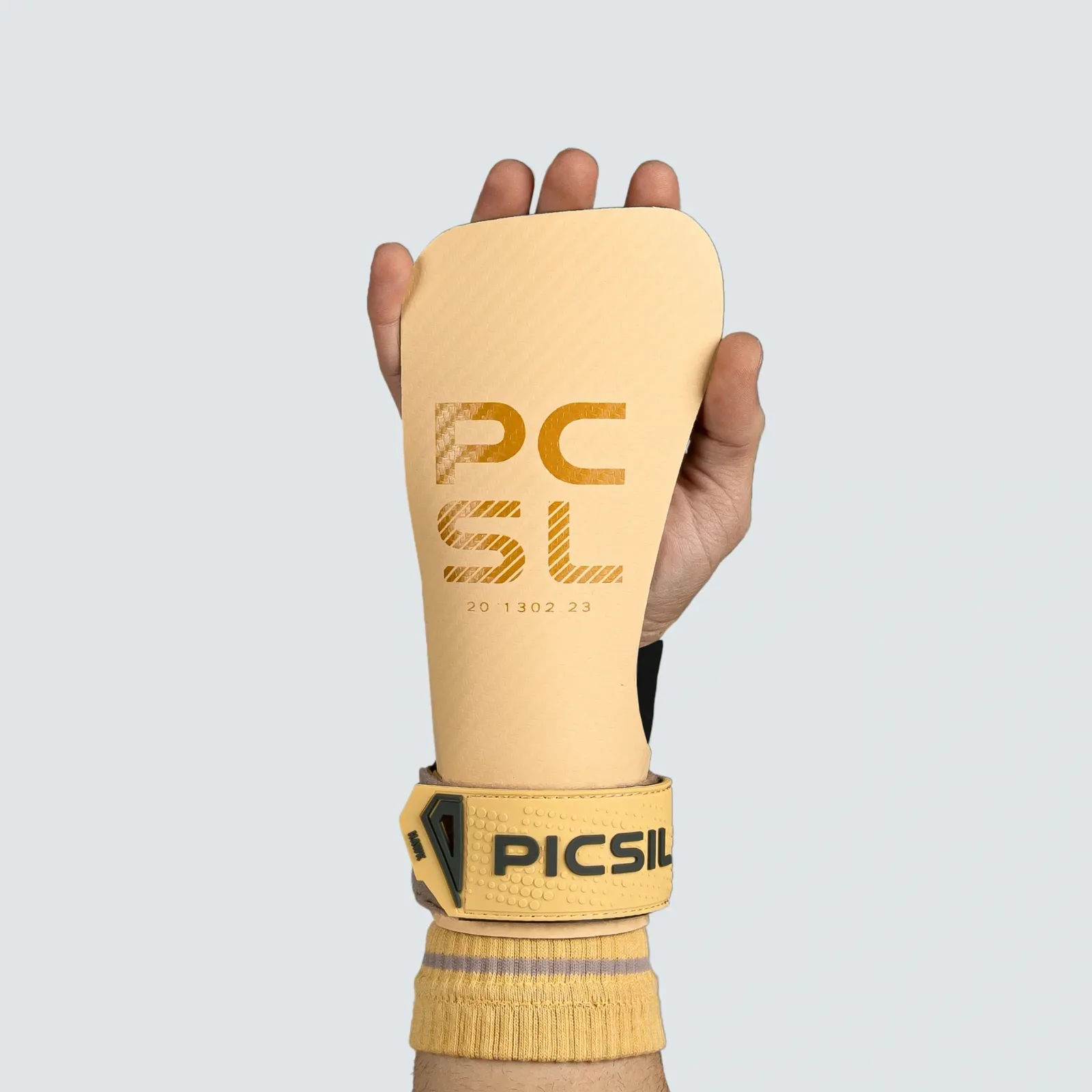 Picsil Hawk